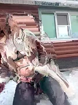 MooonReal - October 22, 2025 06:00