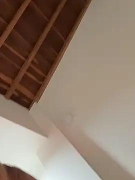 Curchez_ - January 22, 2026 19:37