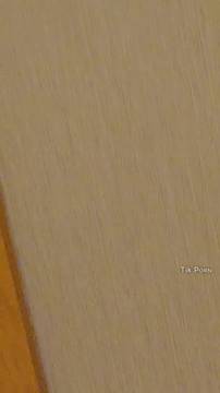 Dressing room blowjob!