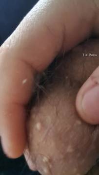 Porn Movie Man Masturbating & Solo man