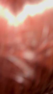 Movie Xxx Delice-torride in Blowjob & French